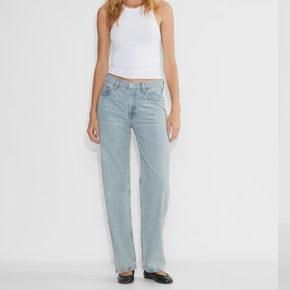 Aritzia Denim Forum Iggy Lo-Rise Baggy Jeans